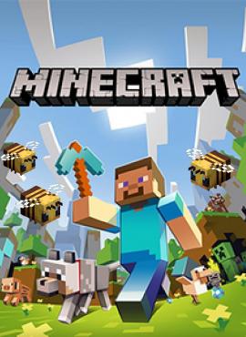 Minecraft game specification