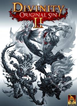 Divinity: Original Sin II game cover