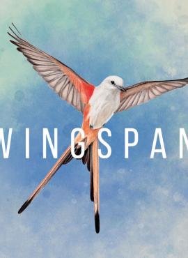 Wingspan game cover