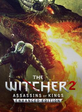 The Witcher 2: Assassins of Kings game cover